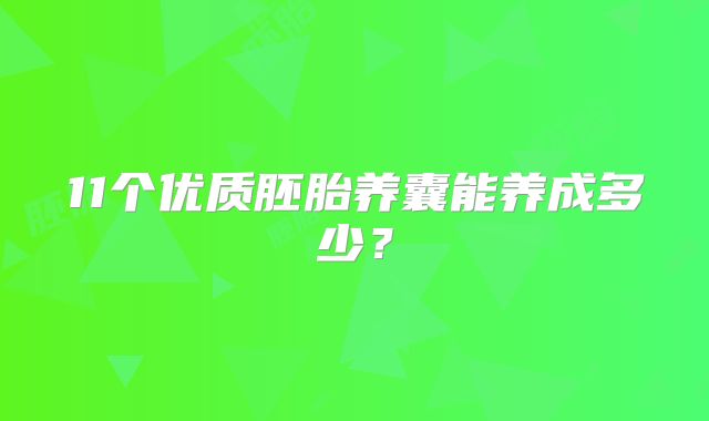 11个优质胚胎养囊能养成多少?