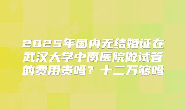 2025年国内无结婚证在武汉大学中南医院做试管的费用贵吗?十二万够吗