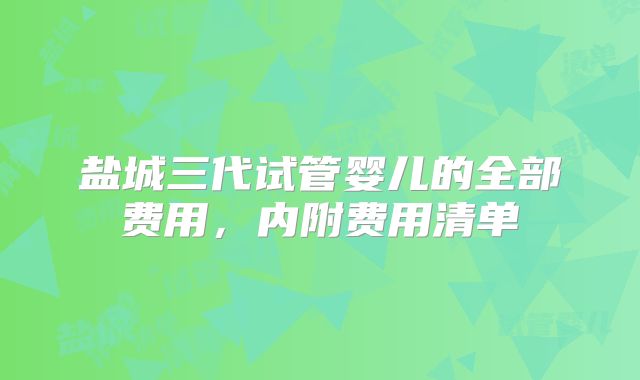 盐城三代试管婴儿的全部费用，内附费用清单