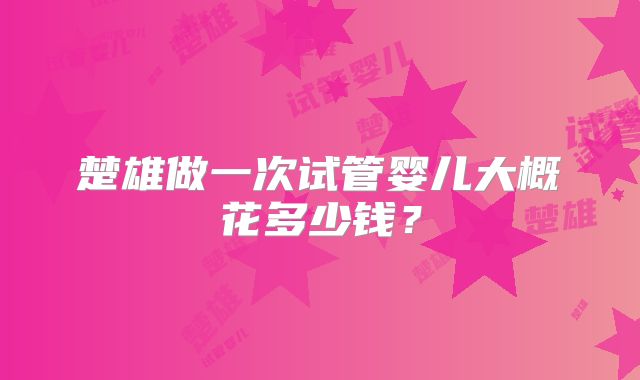 楚雄做一次试管婴儿大概花多少钱？