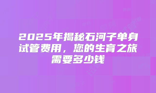 2025年揭秘石河子单身试管费用,您的生育之旅需要多少钱