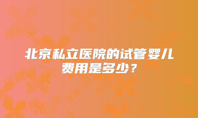 北京私立医院的试管婴儿费用是多少?