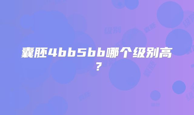 囊胚4bb5bb哪个级别高？