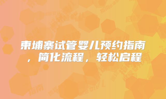 柬埔寨试管婴儿预约指南，简化流程，轻松启程