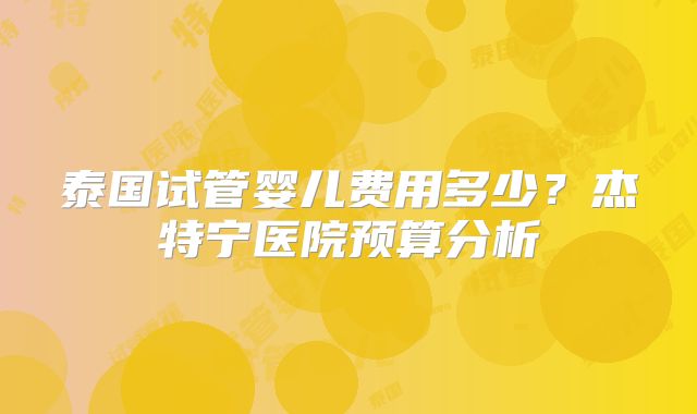 泰国试管婴儿费用多少？杰特宁医院预算分析