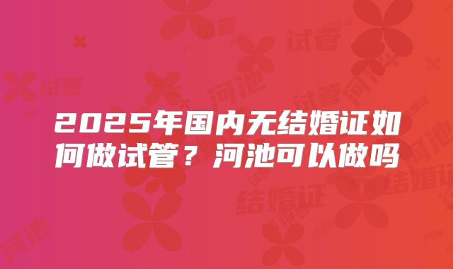 2025年国内无结婚证如何做试管？河池可以做吗