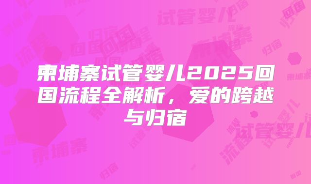 柬埔寨试管婴儿2025回国流程全解析,爱的跨越与归宿