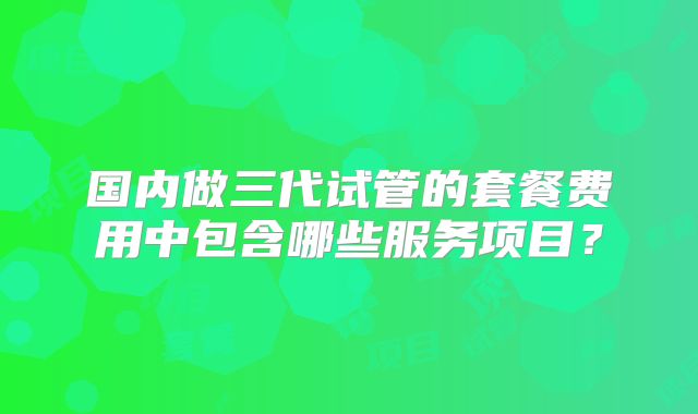 国内做三代试管的套餐费用中包含哪些服务项目?