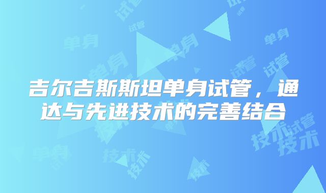 吉尔吉斯斯坦单身试管，通达与先进技术的完善结合