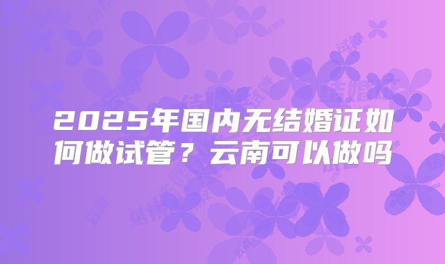 2025年国内无结婚证如何做试管？云南可以做吗