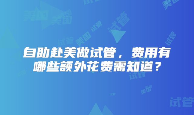 自助赴美做试管，费用有哪些额外花费需知道？