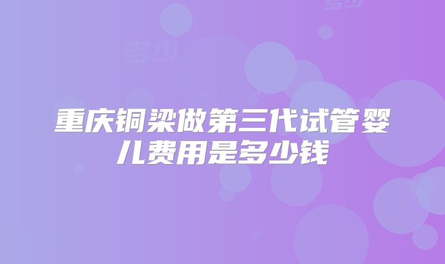 重庆铜梁做第三代试管婴儿费用是多少钱