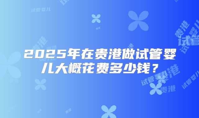 2025年在贵港做试管婴儿大概花费多少钱？