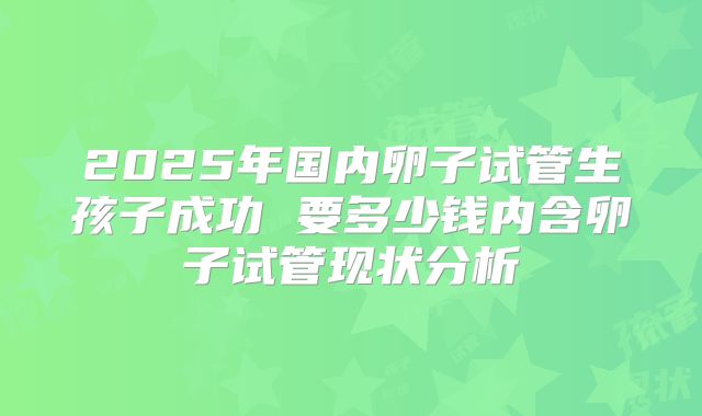 2025年国内卵子试管生孩子成功 要多少钱内含卵子试管现状分析