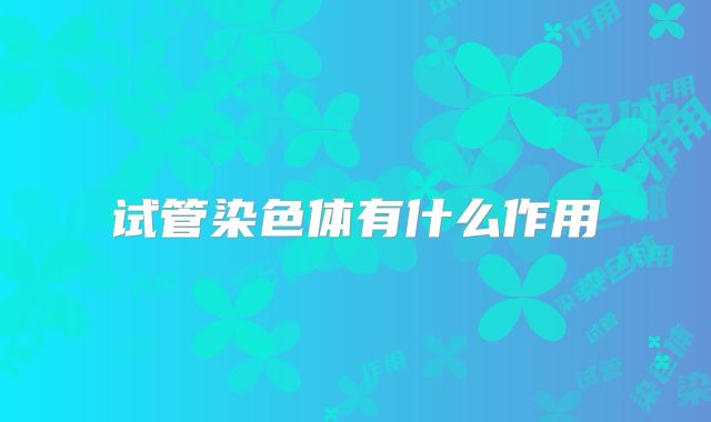 试管染色体有什么作用