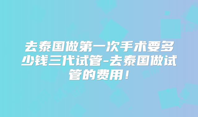 去泰国做第一次手术要多少钱三代试管-去泰国做试管的费用！