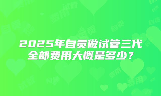 2025年自贡做试管三代全部费用大概是多少？