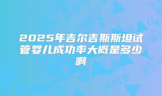 2025年吉尔吉斯斯坦试管婴儿成功率大概是多少啊