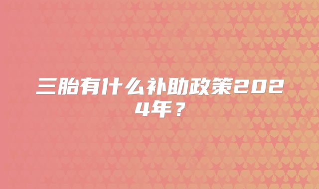 三胎有什么补助政策2024年？
