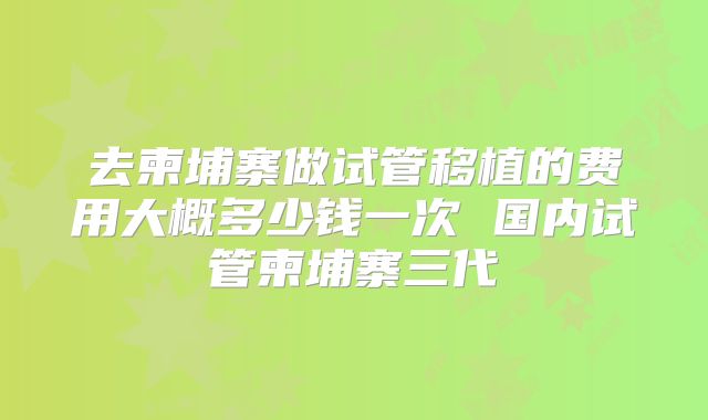 去柬埔寨做试管移植的费用大概多少钱一次 国内试管柬埔寨三代