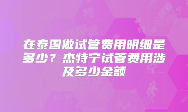 在泰国做试管费用明细是多少？杰特宁试管费用涉及多少金额
