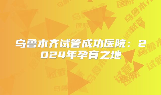 乌鲁木齐试管成功医院:2024年孕育之地