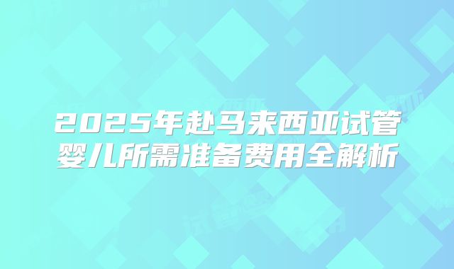2025年赴马来西亚试管婴儿所需准备费用全解析