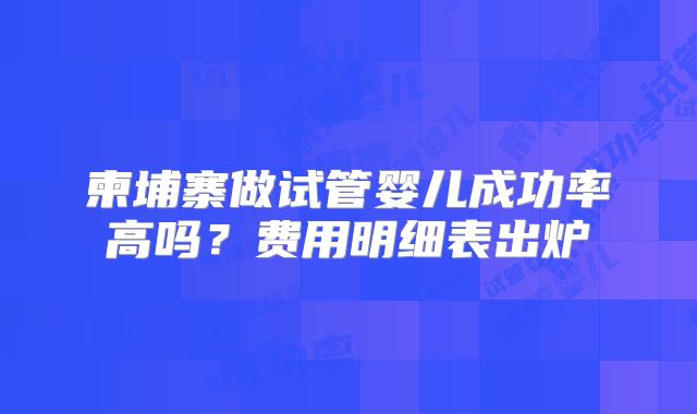 柬埔寨做试管婴儿成功率高吗?费用明细表出炉