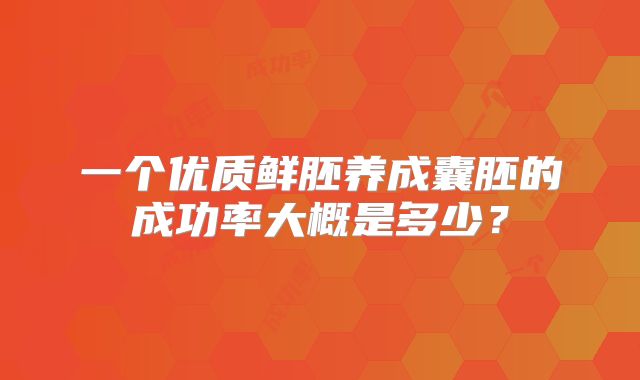 一个优质鲜胚养成囊胚的成功率大概是多少?