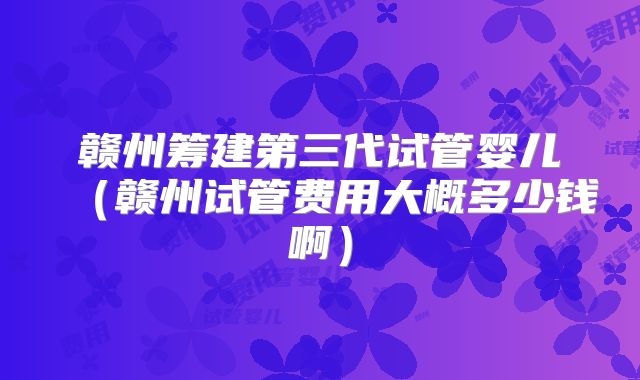 赣州筹建第三代试管婴儿（赣州试管费用大概多少钱啊）