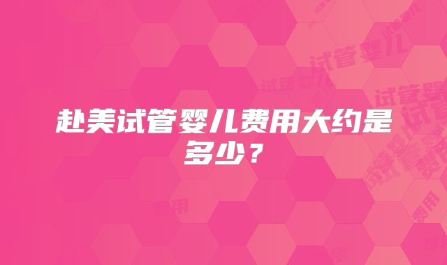赴美试管婴儿费用大约是多少?
