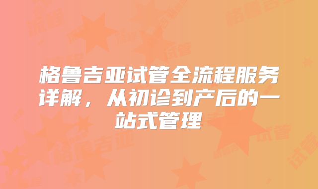 格鲁吉亚试管全流程服务详解，从初诊到产后的一站式管理