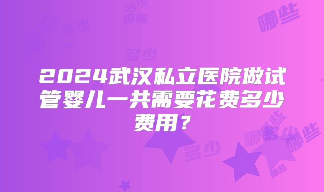 2024武汉私立医院做试管婴儿一共需要花费多少费用？