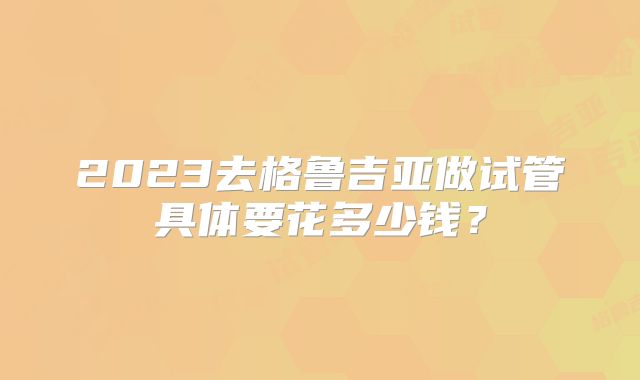 2023去格鲁吉亚做试管具体要花多少钱？
