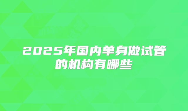 2025年国内单身做试管的机构有哪些