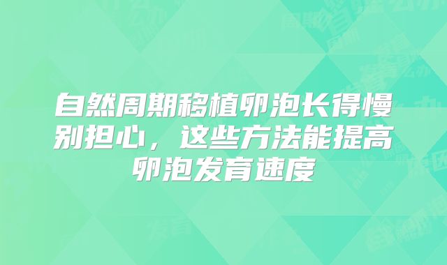 自然周期移植卵泡长得慢别担心，这些方法能提高卵泡发育速度