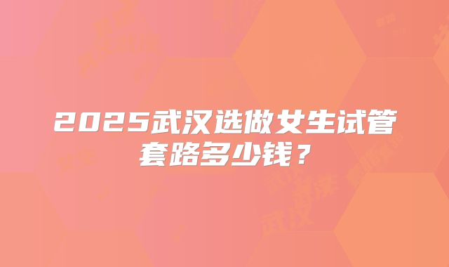 2025武汉选做女生试管套路多少钱？