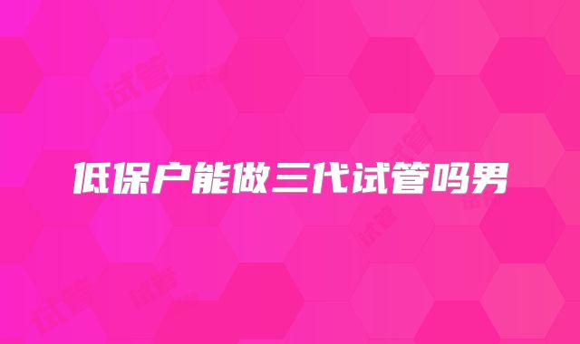 低保户能做三代试管吗男