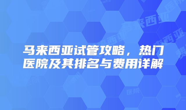 马来西亚试管攻略，热门医院及其排名与费用详解