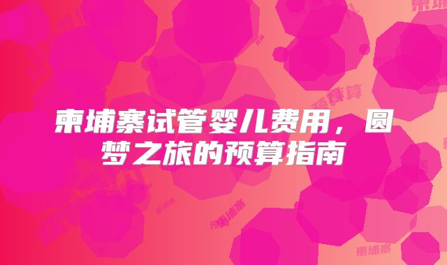 柬埔寨试管婴儿费用，圆梦之旅的预算指南