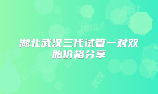 湖北武汉三代试管一对双胎价格分享