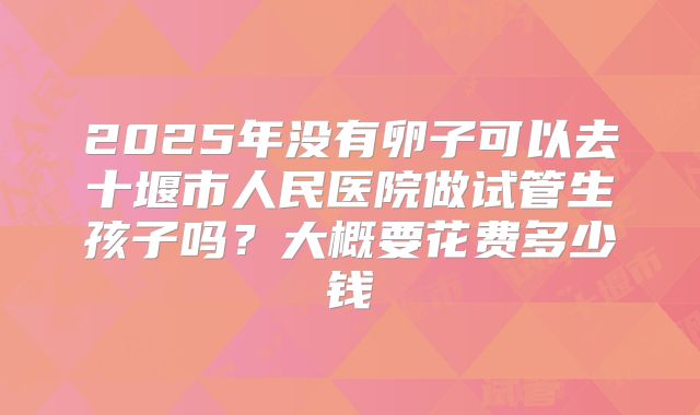 2025年没有卵子可以去十堰市人民医院做试管生孩子吗？大概要花费多少钱
