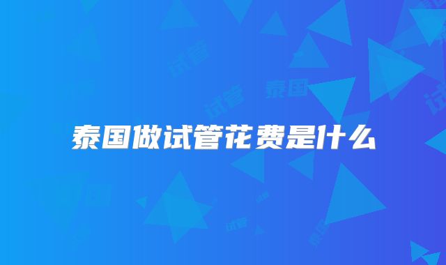 泰国做试管花费是什么