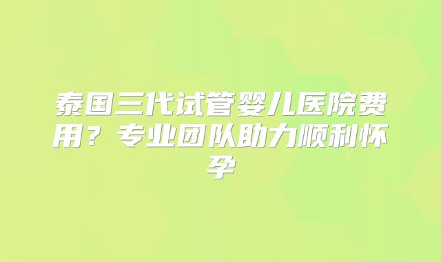 泰国三代试管婴儿医院费用？专业团队助力顺利怀孕