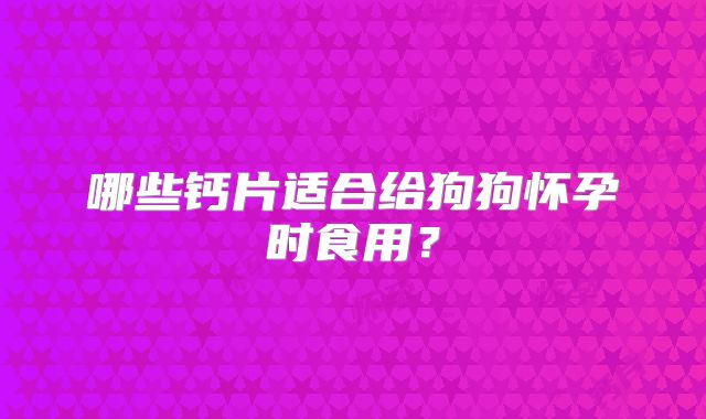 哪些钙片适合给狗狗怀孕时食用？
