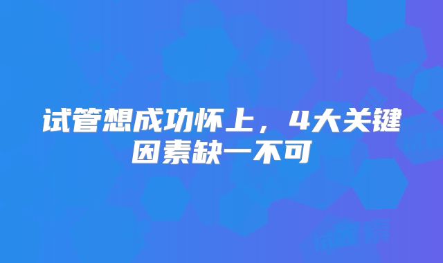 试管想成功怀上,4大关键因素缺一不可