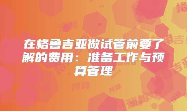 在格鲁吉亚做试管前要了解的费用：准备工作与预算管理