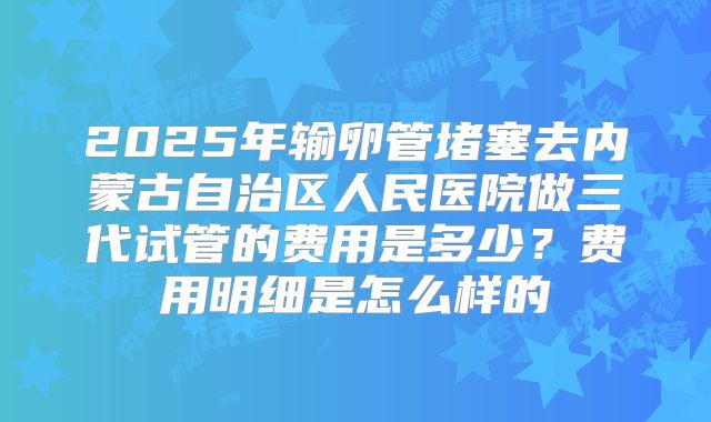 2025年输卵管堵塞去内蒙古自治区人民医院做三代试管的费用是多少？费用明细是怎么样的