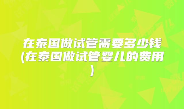 在泰国做试管需要多少钱(在泰国做试管婴儿的费用)