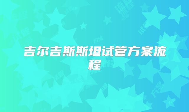 吉尔吉斯斯坦试管方案流程